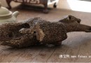 沉香，2014最具魅力的投资品