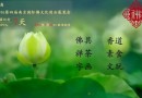 2016南京佛事展快来有奖体验禅意瑜伽，怎样把你变成超凡脱俗的女