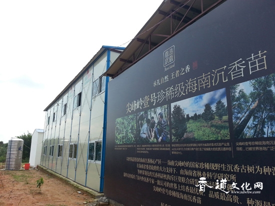 香岛定安基地获批海南省南药产业化示范基地