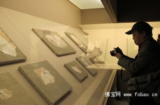 于阗佛教绘画首次走出新疆亮相申城